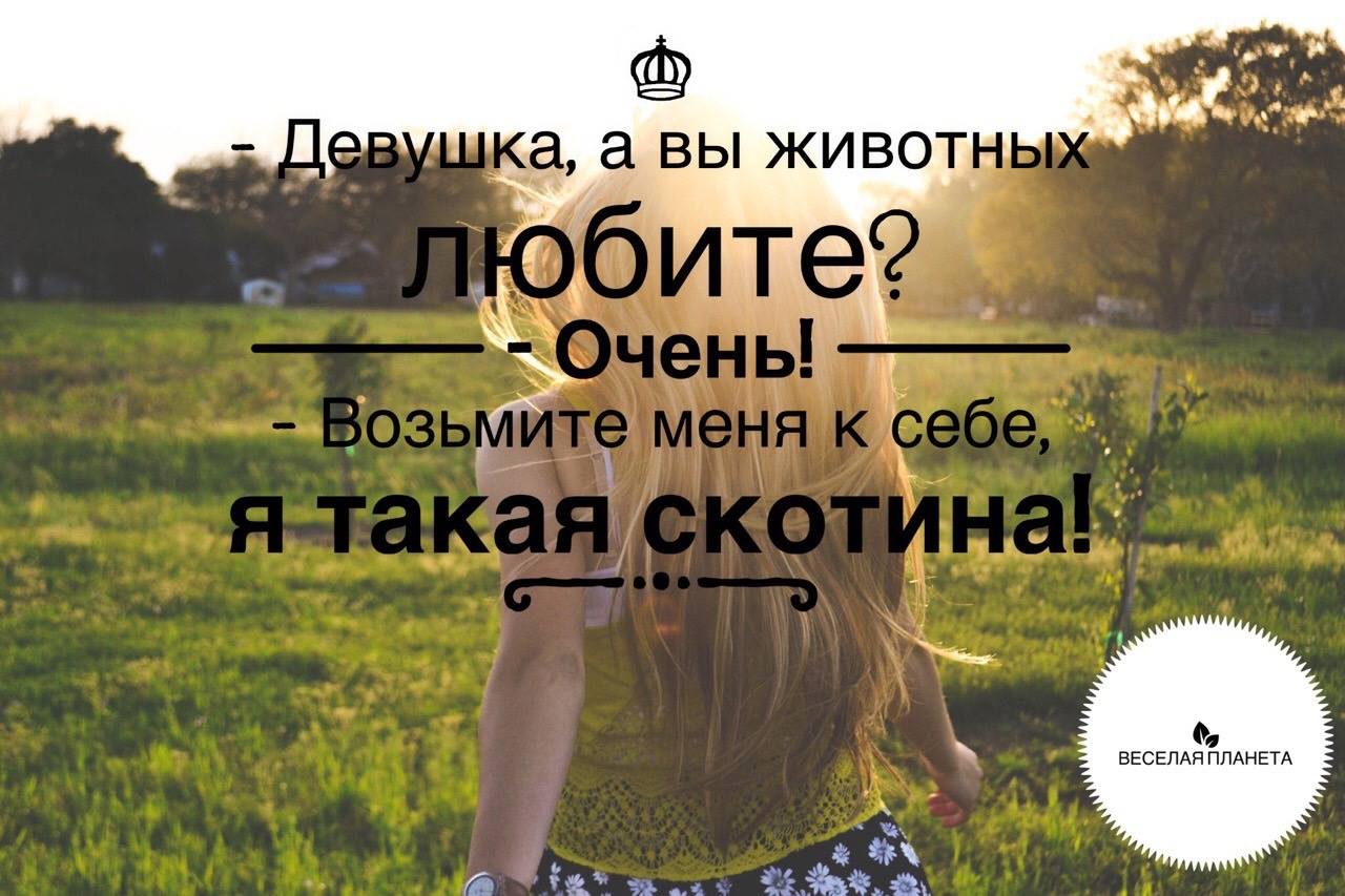 veselaya planeta