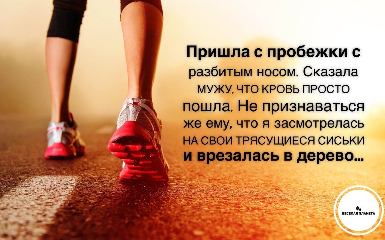 anekdot news