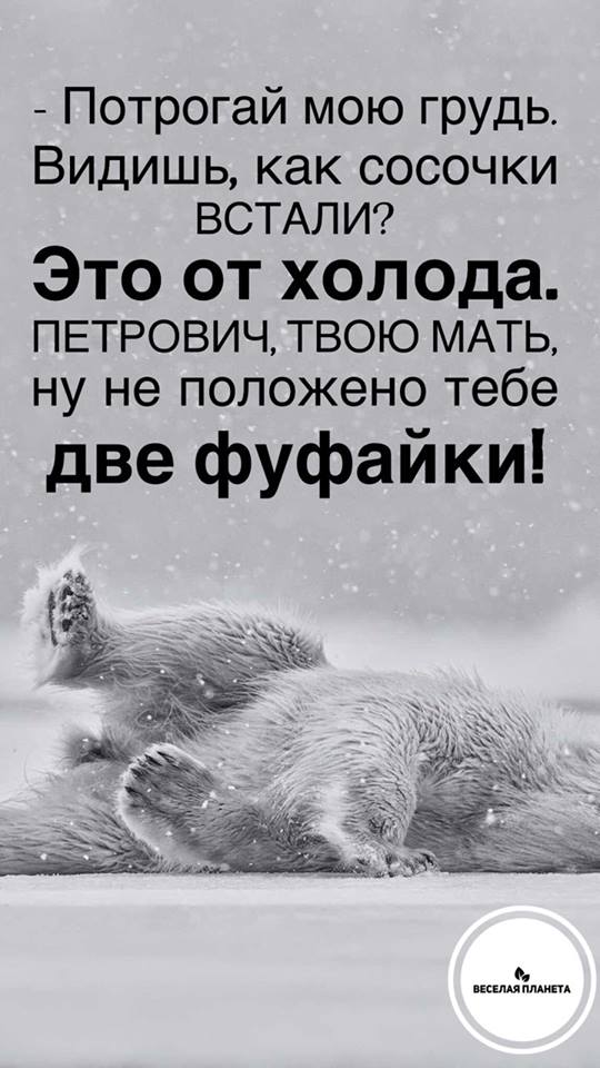 anekdot news