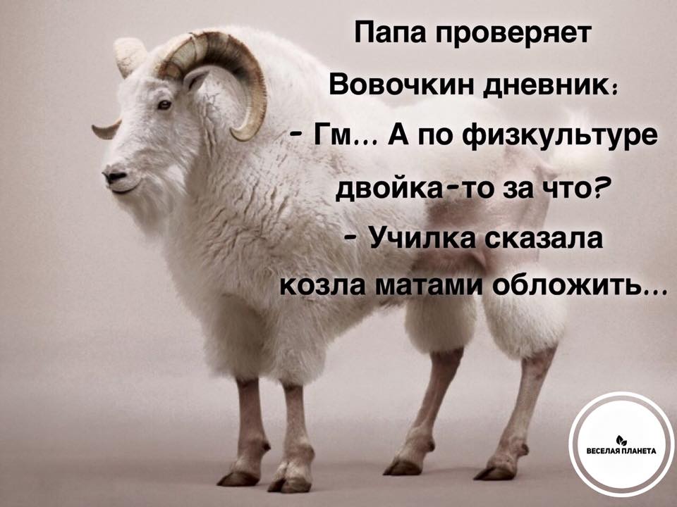 yumor net