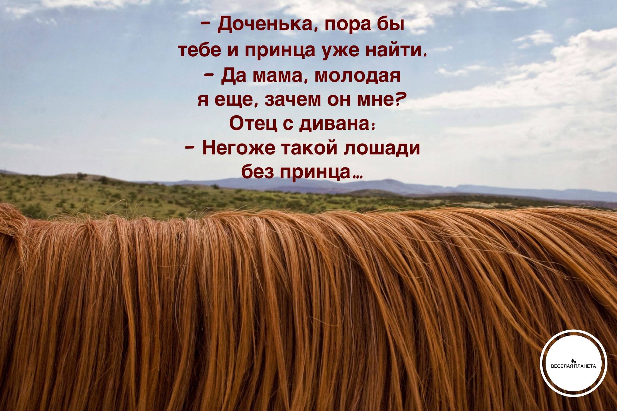 veselayaplaneta