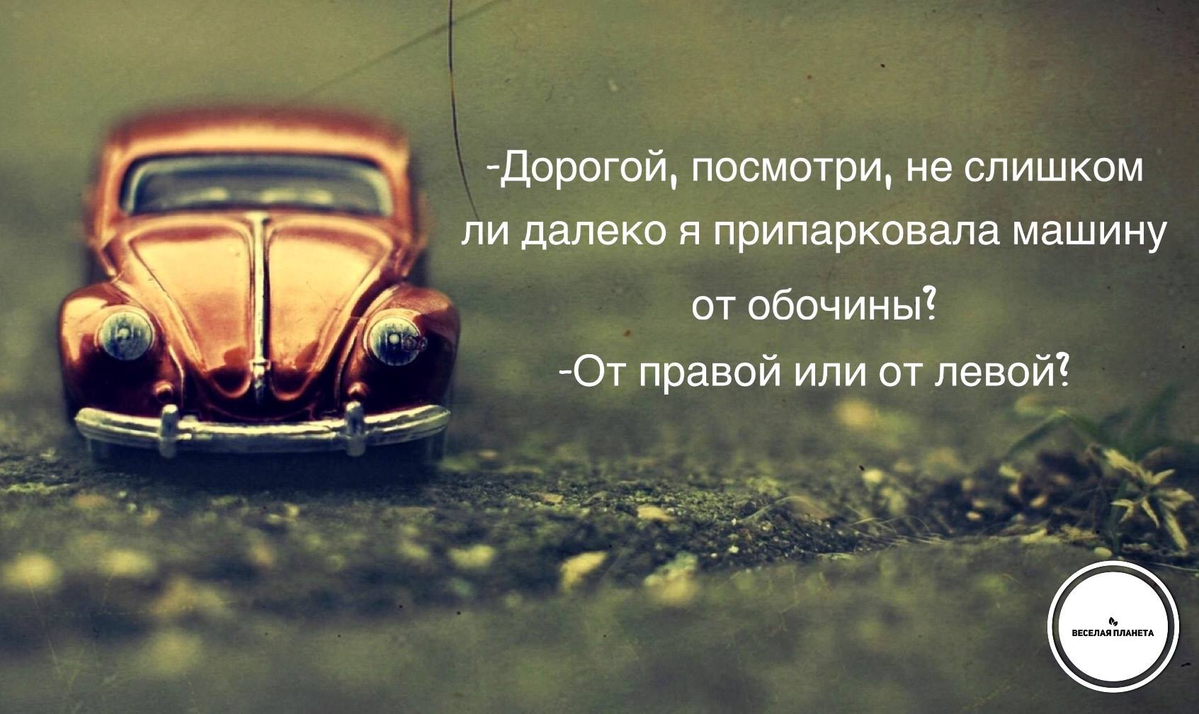 anekdot news